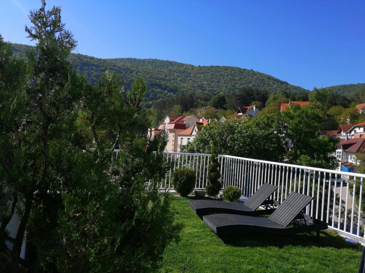 B&B Nataly 2 Soko Banja Exterior foto